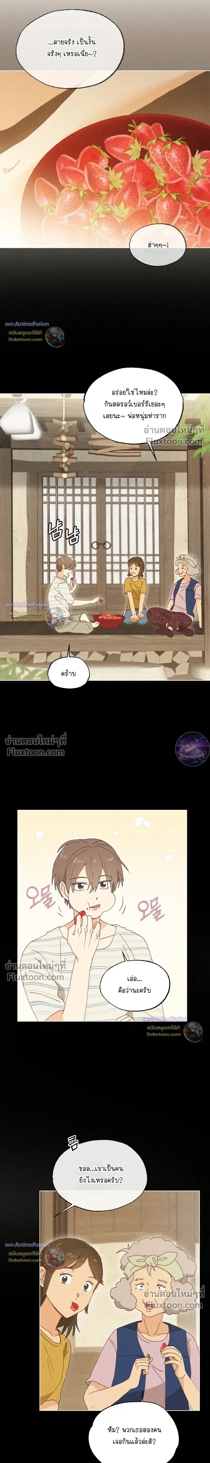 The Man from the Pepper Field หน้า 11