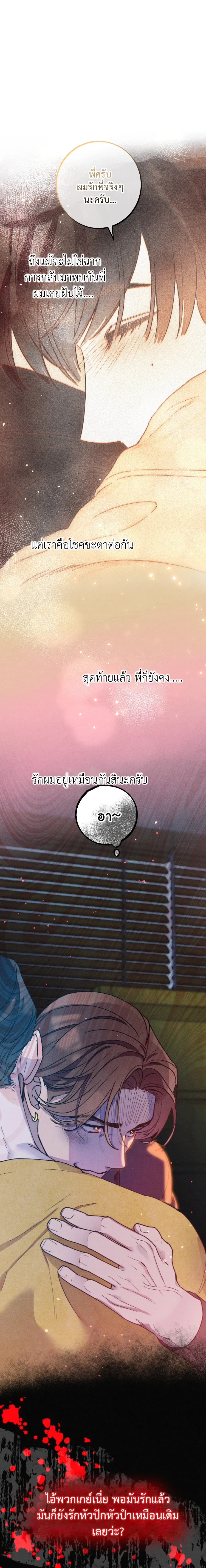 Like It's Destiny หน้า 36