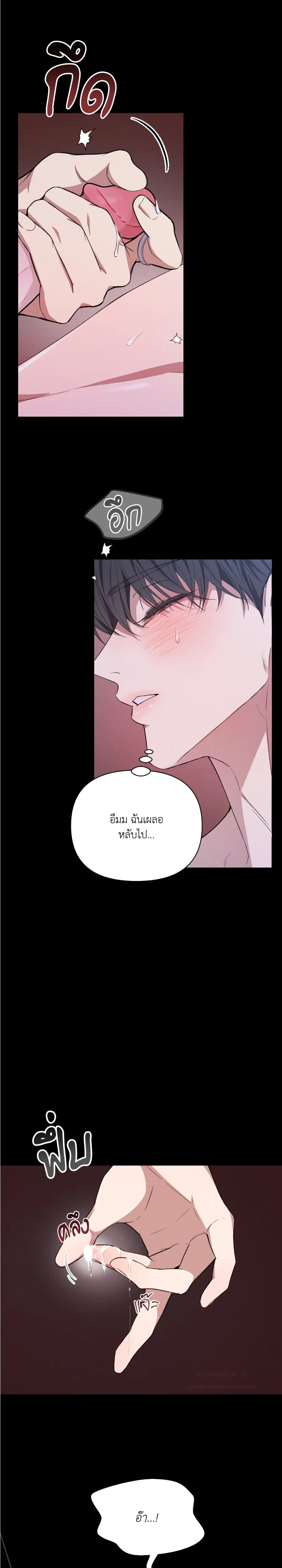 Hidden Love in the Night of Wishes หน้า 21