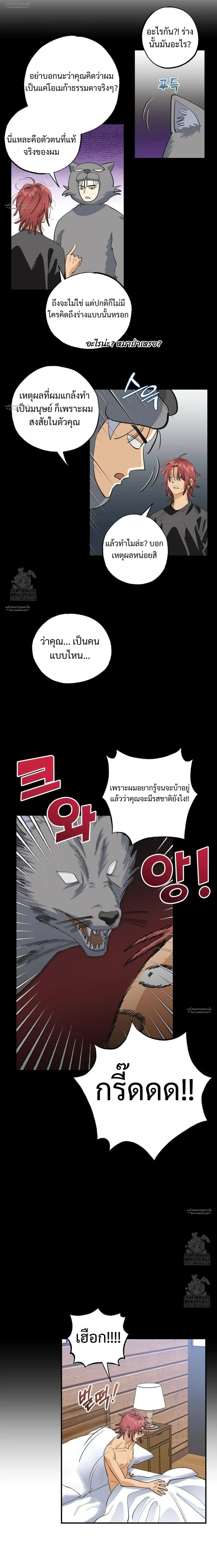 OXO หน้า 11