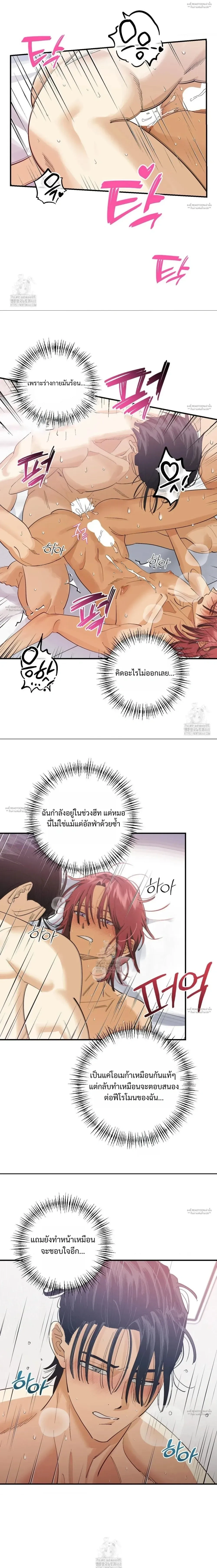 OXO หน้า 6
