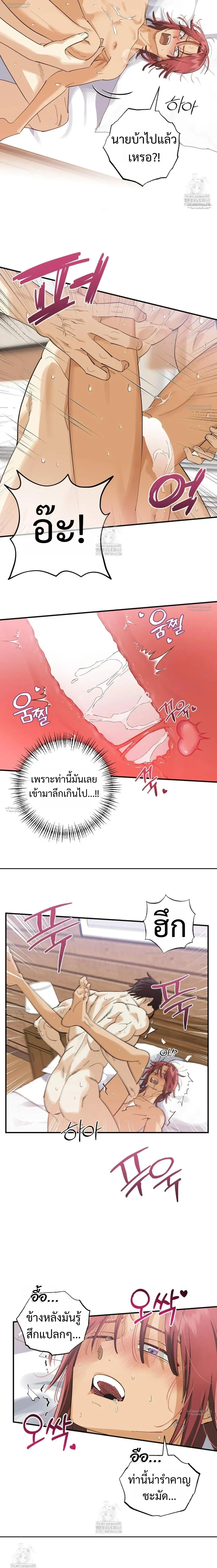 OXO หน้า 8