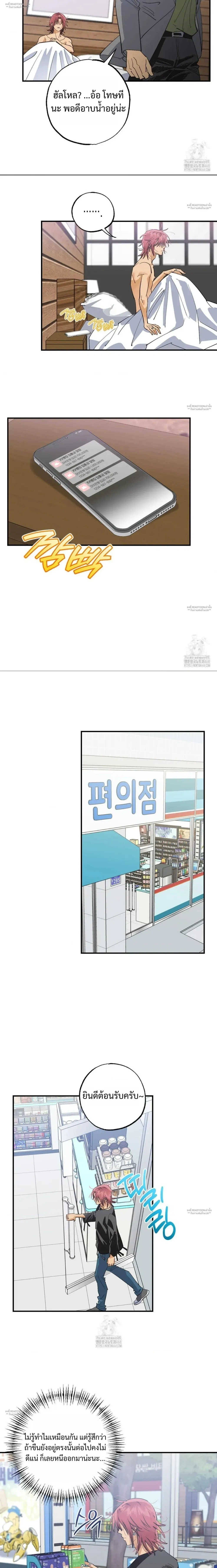 OXO หน้า 11