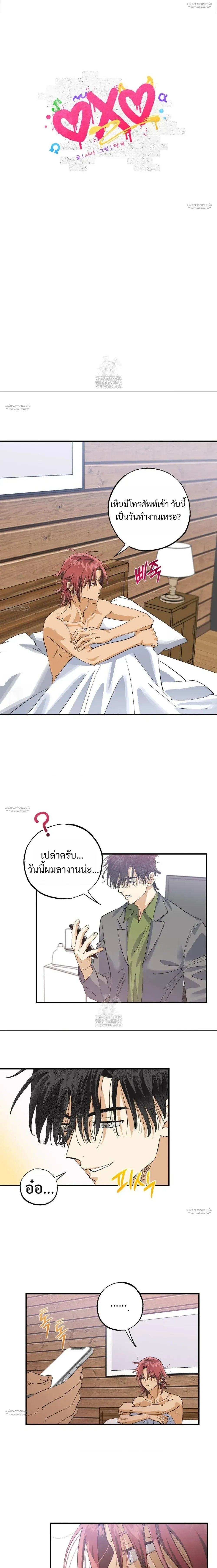 OXO หน้า 3