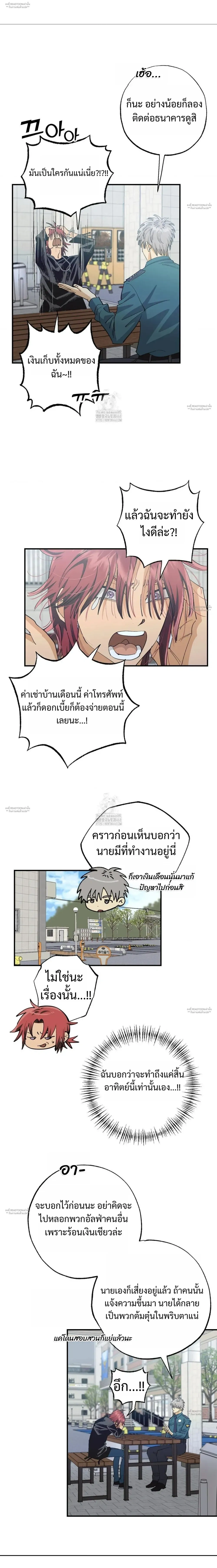 OXO หน้า 5