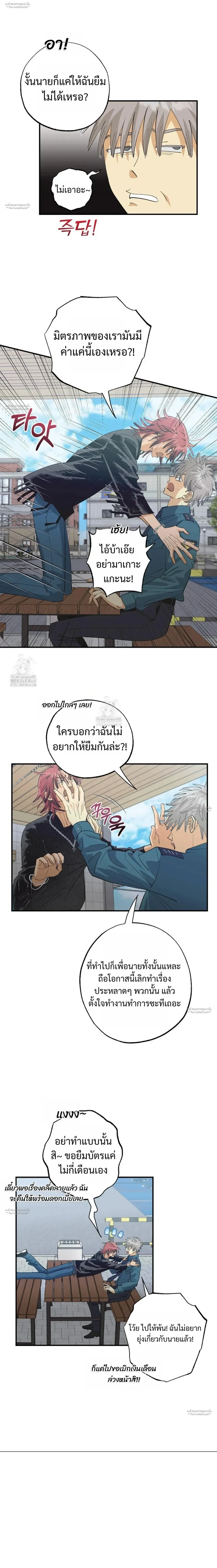 OXO หน้า 6