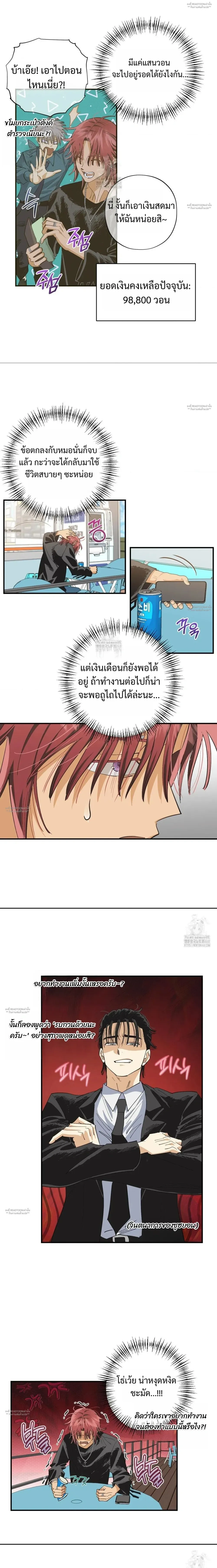 OXO หน้า 8
