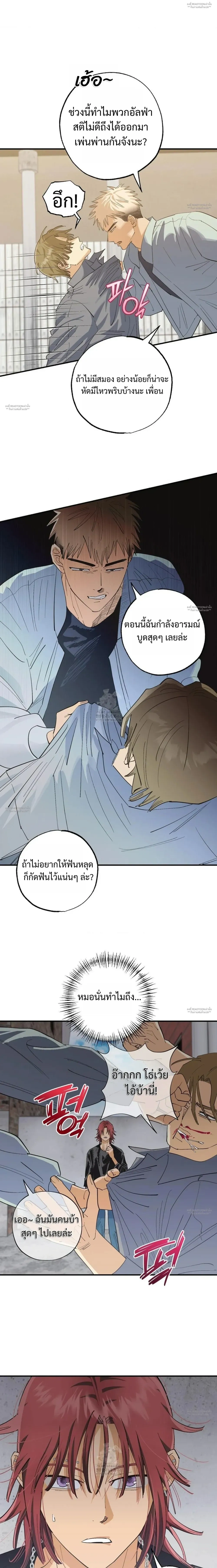 OXO หน้า 11