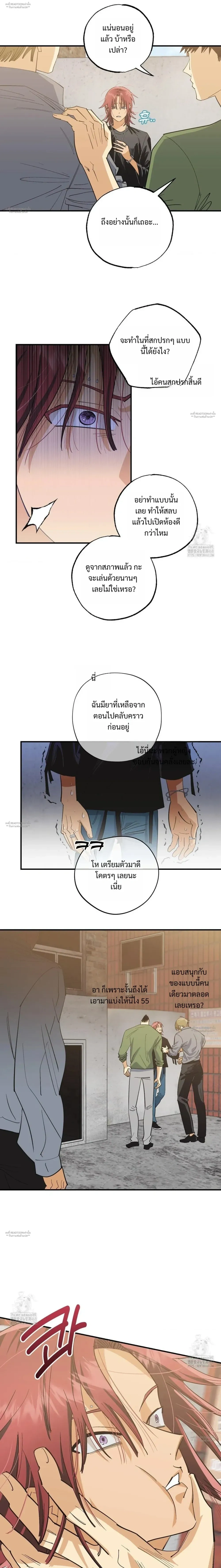 OXO หน้า 6