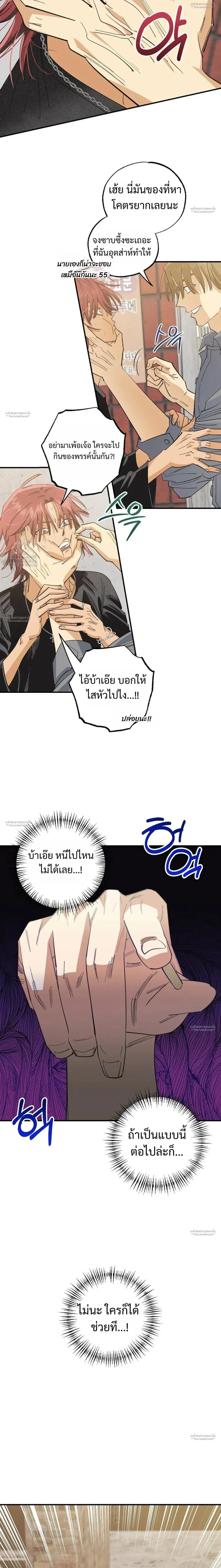 OXO หน้า 7