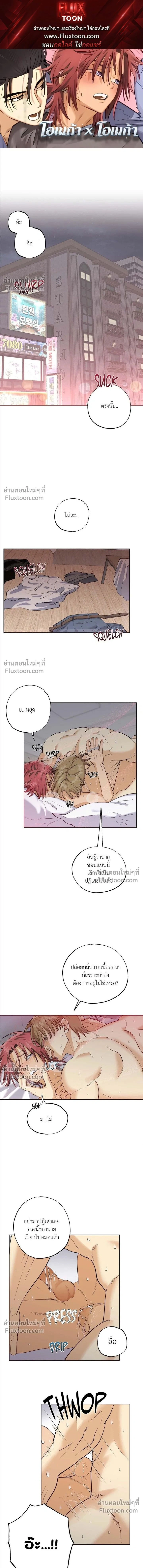 OXO หน้า 1