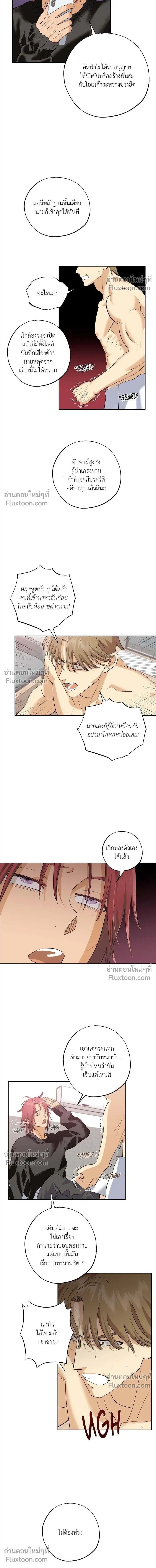 OXO หน้า 5