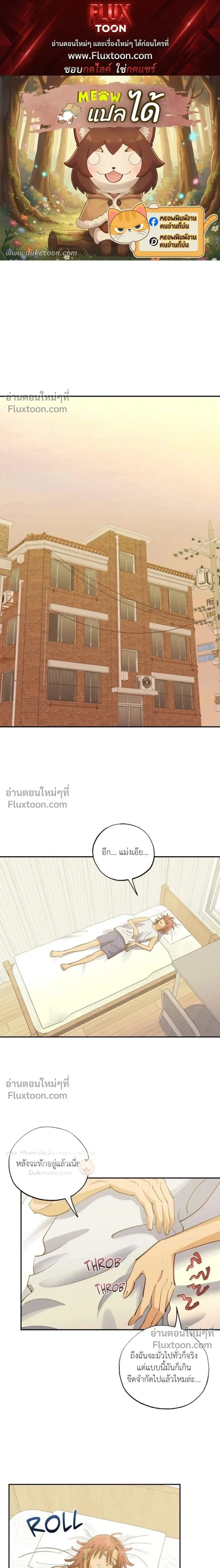 OXO หน้า 1
