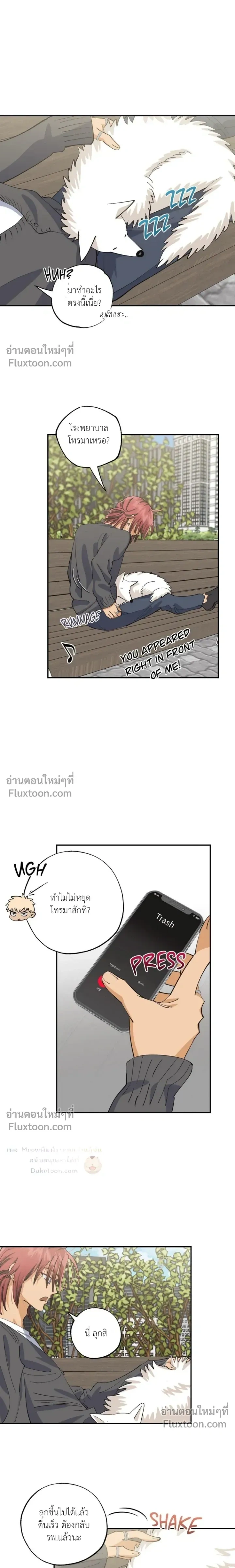 OXO หน้า 13