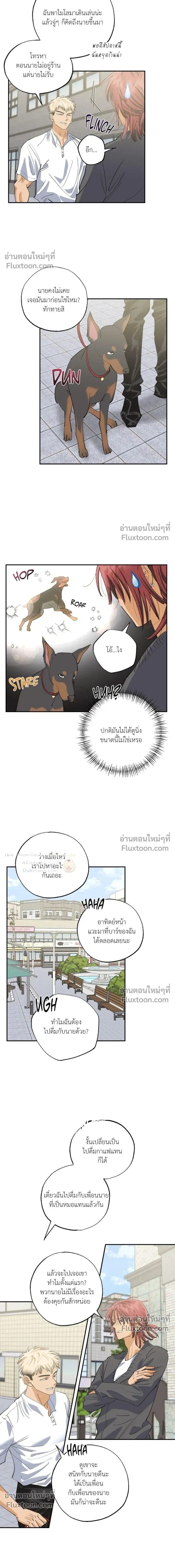 OXO หน้า 3