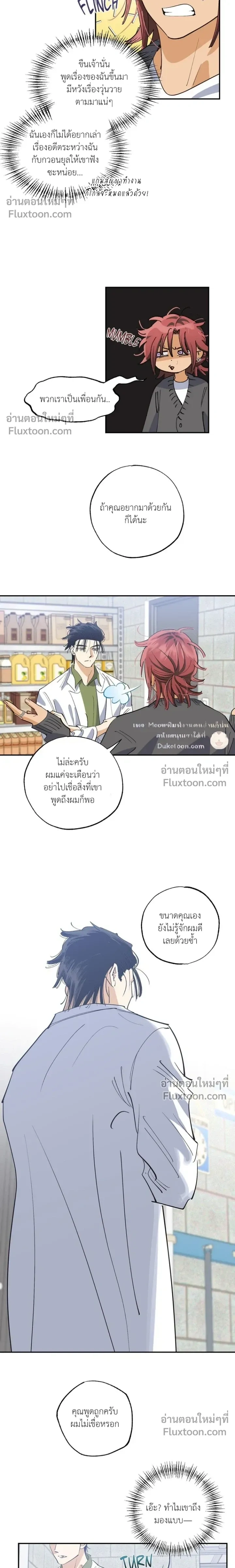 OXO หน้า 8