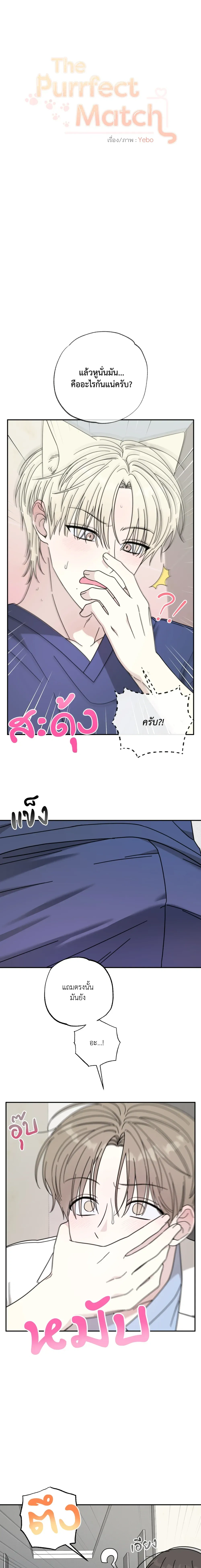 The Purrfect Match หน้า 1