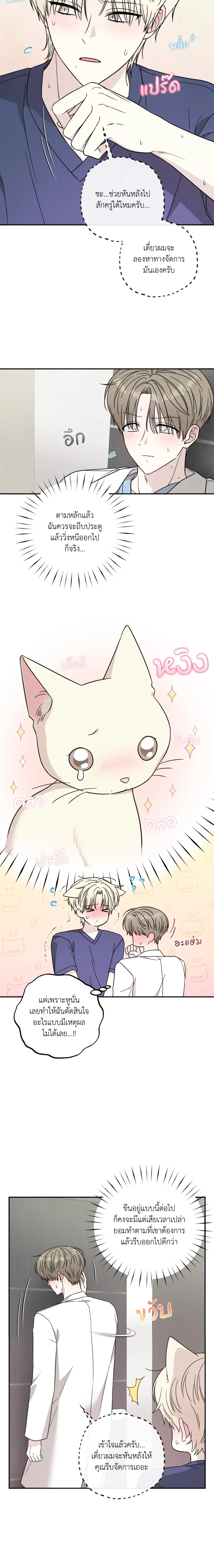 The Purrfect Match หน้า 3