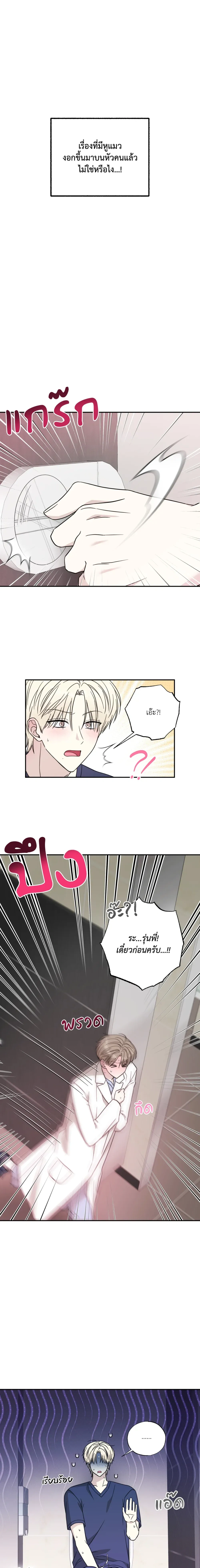 The Purrfect Match หน้า 10