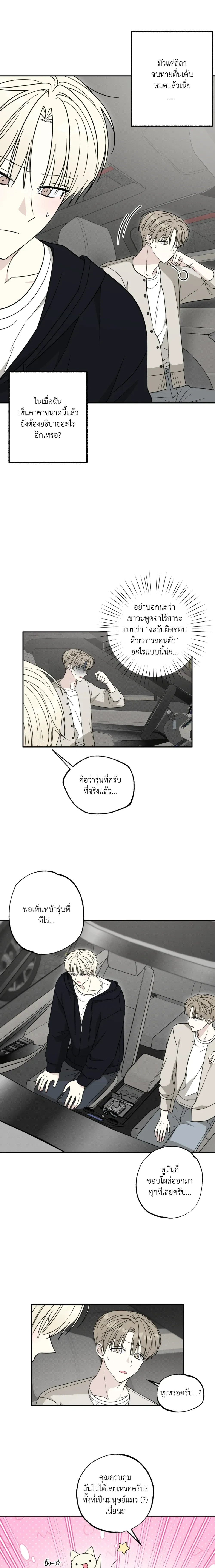 The Purrfect Match หน้า 2