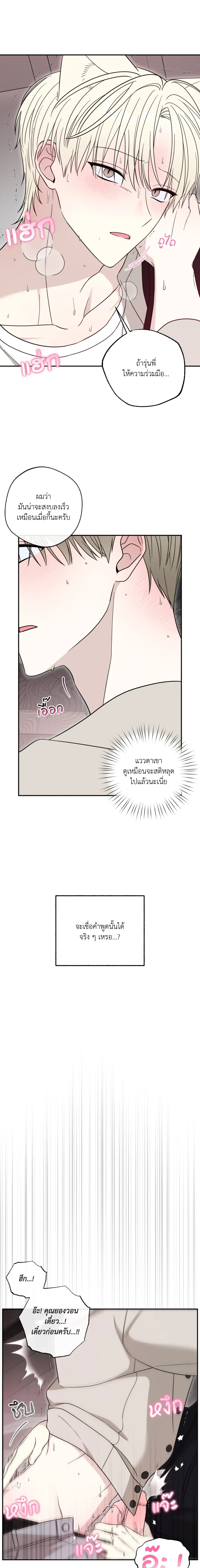 The Purrfect Match หน้า 11