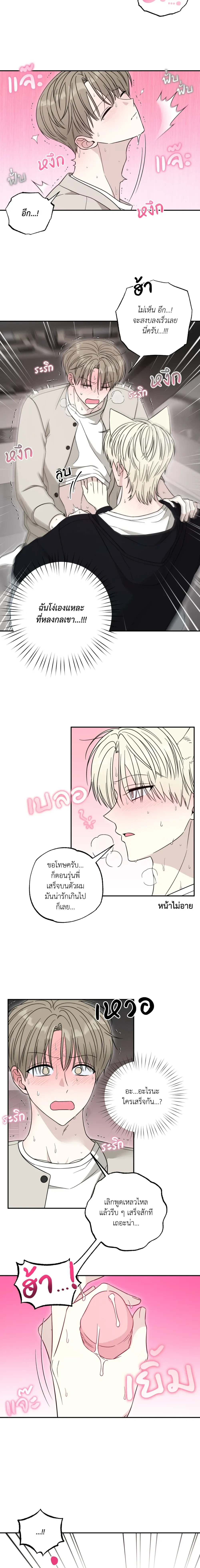 The Purrfect Match หน้า 12