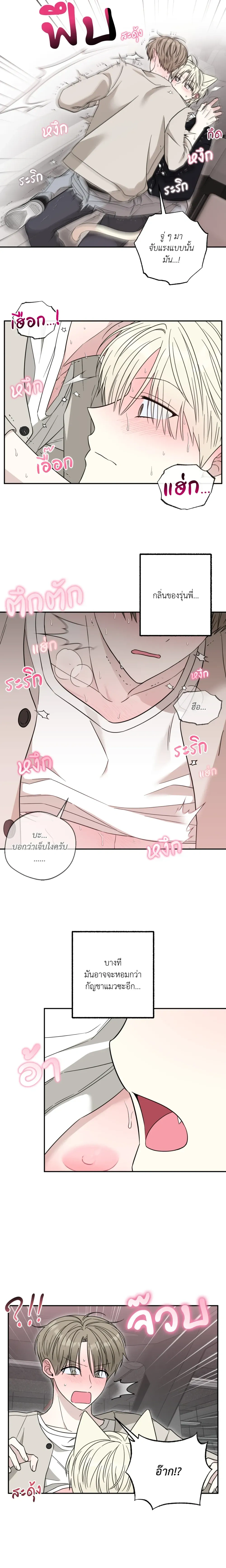 The Purrfect Match หน้า 13