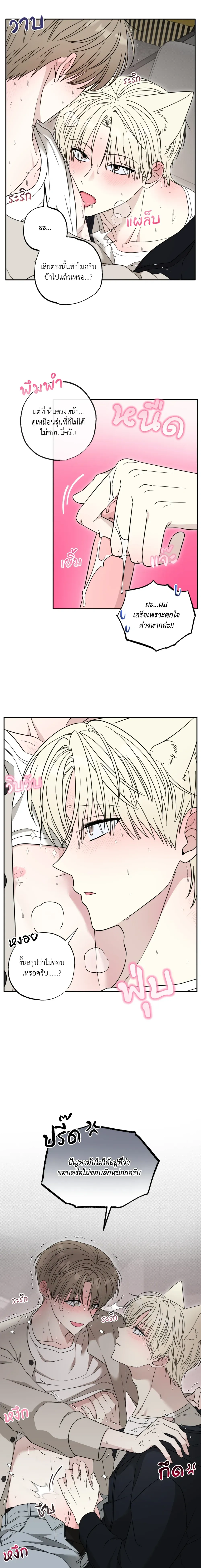 The Purrfect Match หน้า 14