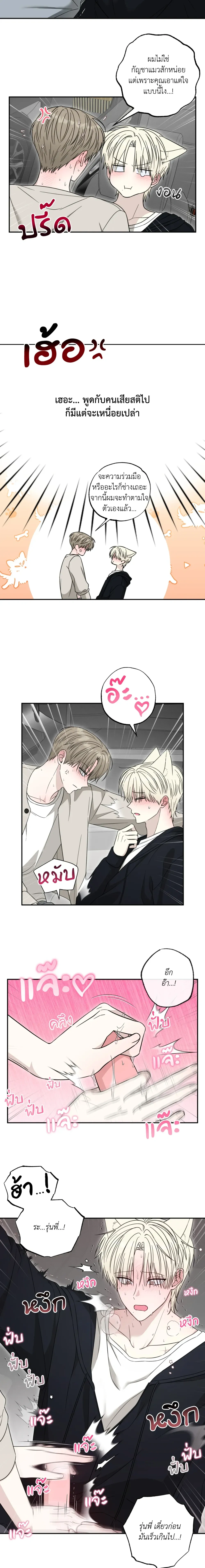 The Purrfect Match หน้า 15