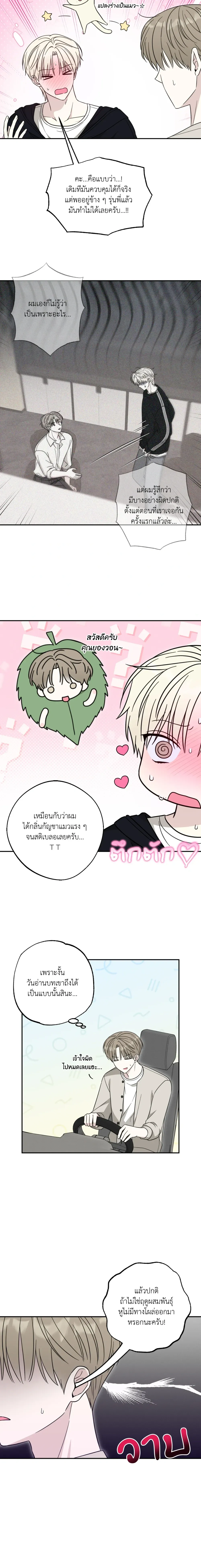 The Purrfect Match หน้า 3