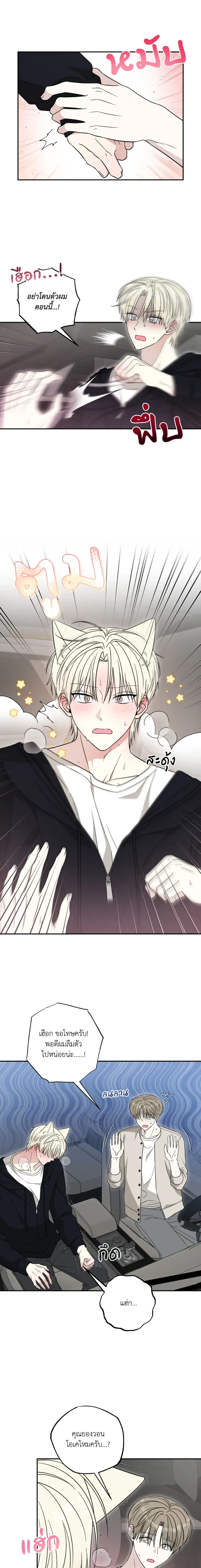The Purrfect Match หน้า 7